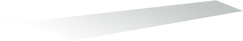 palm2-shadow