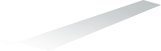 palm3-shadow